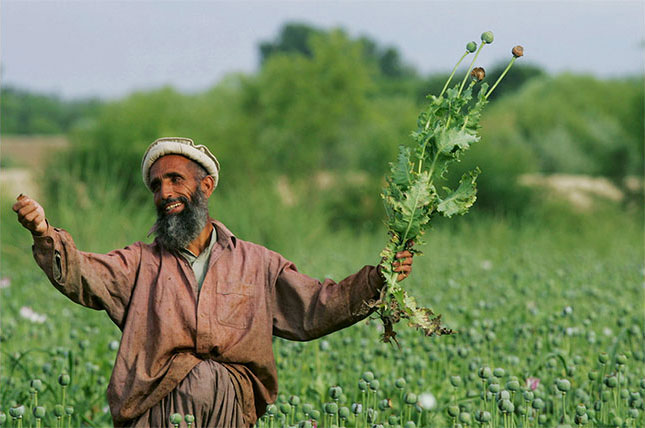 По данным ООН, в середине 2000-х годов производство опиума в стране под покровительством талибов и коррумпированных представителей администрации тогдашнего президента Афганистана Хамида Карзая резко возросло